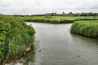 <span class="mw-page-title-main">Titchfield Haven</span>