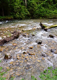 The Toleure just before the confluence with the Aubonne