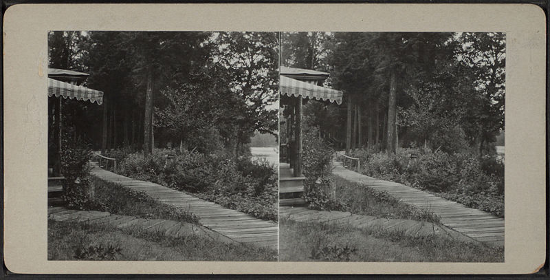 File:Trail to the Lake, from Robert N. Dennis collection of stereoscopic views.jpg