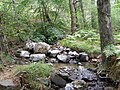 Troodos Mountains