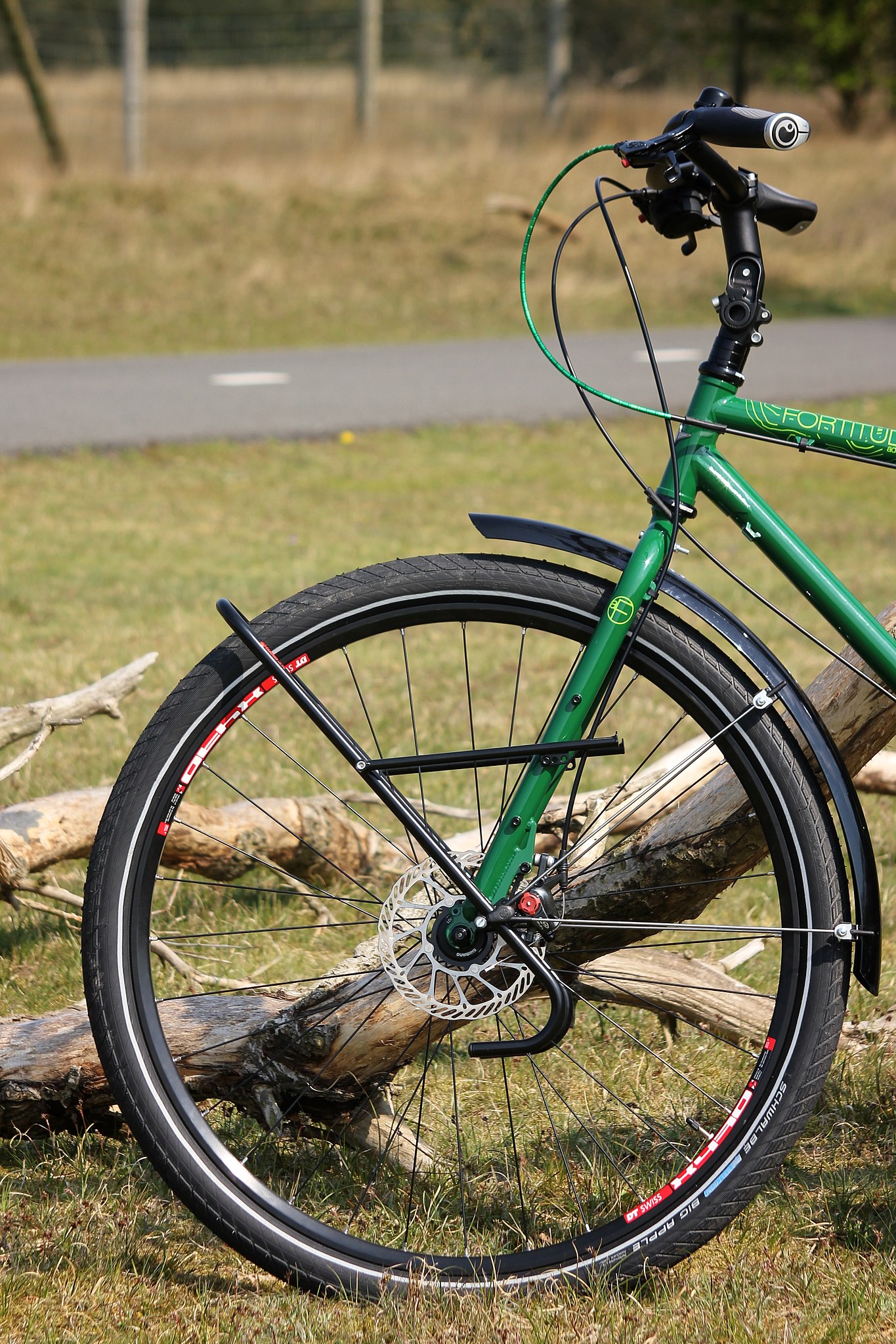 File:Tubus Tara lowrider luggage carrier on front fork of green bicycle.jpg -