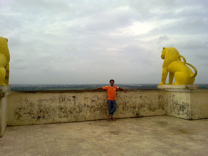 File:Two yellow lion.jpg