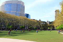 USA-NYC-Cadman Plaza Park.jpg