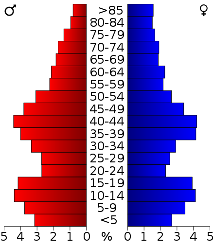 2000 Census Age Pyramid for Taylor County