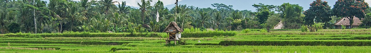 Ubud banner.jpg