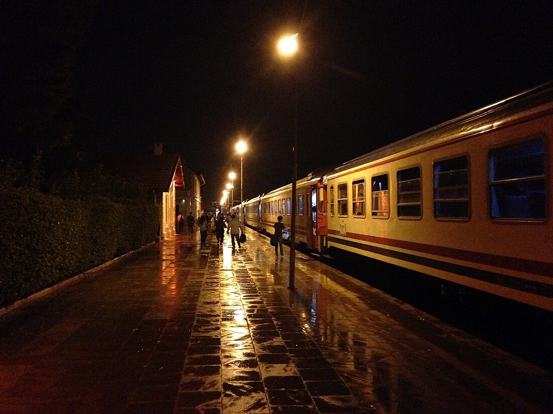 Uşak railway station