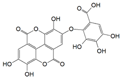 Struktur kimia dari valoneic asam dilactone