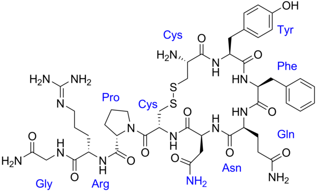 Water Vascular System - Wikipedia, The Free Encyclopedia PDF