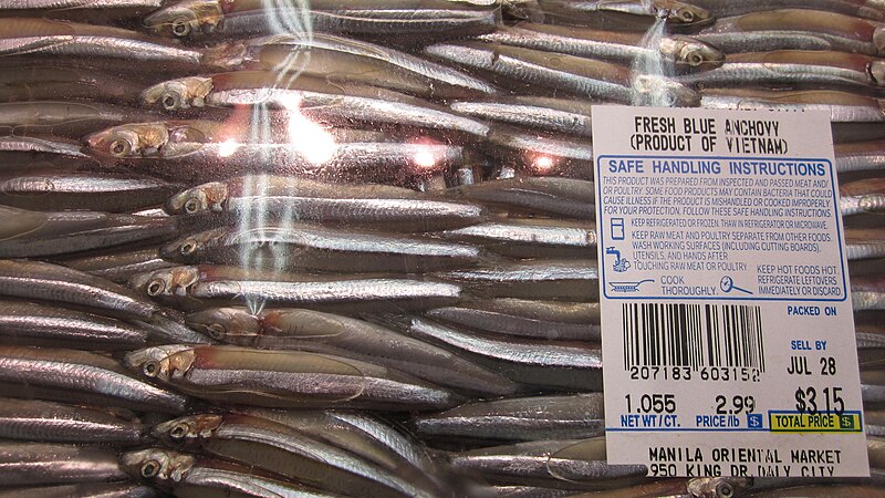 File:Vietnamese blue anchovies.JPG