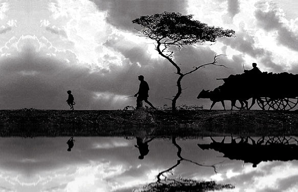 Reflection of Bullock cart and human beings and tree on a village pond in a traditional rural setting at Tarapith, Birbhum District, West Bengal, India.