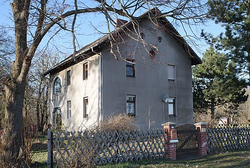 Wörlitz, Forsthof