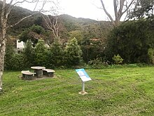 View of grassy area near riverbank