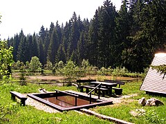 Kneippanlage am alten Mittenwaldfreibad