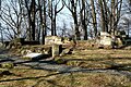 Ruine eines Belvederes (Einzeldenkmal zu ID-Nr. 09223159)