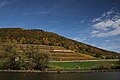 Weinlage Großheubacher Bischofsberg, nordwestlich von Großheubach, gesehen vom Main