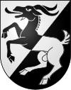 Wappen von Wilderswil