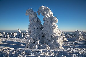 29. Platz: Borwin Bandelow Neu! mit Winter auf dem Brocken im Nationalpark Harz