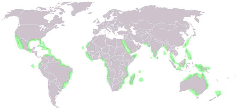 File:World map mangrove distribution.png