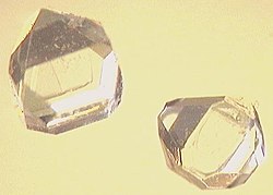 Ksilitol kristalleri.jpg