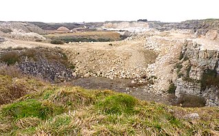 <span class="mw-page-title-main">Yeolands Quarry</span> Formerly active quarry in Dorset, England
