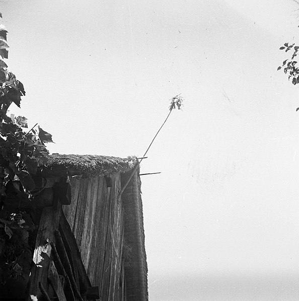 File:"Mlatiški puš?lc" na strehi poda, Male Vodenice 1956.jpg