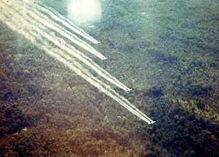 <span class="mw-page-title-main">Rainbow Herbicides</span> Herbicides used by the US in the Vietnam War