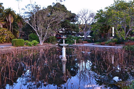 Fail:(1)Sydney_Botanical_Gardens-1.jpg