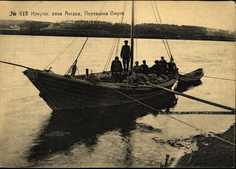 File:Иркутск. Река Ангара. Перевозка омуля.jpg