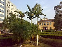 三峡学院一景 - panoramio (1).jpg