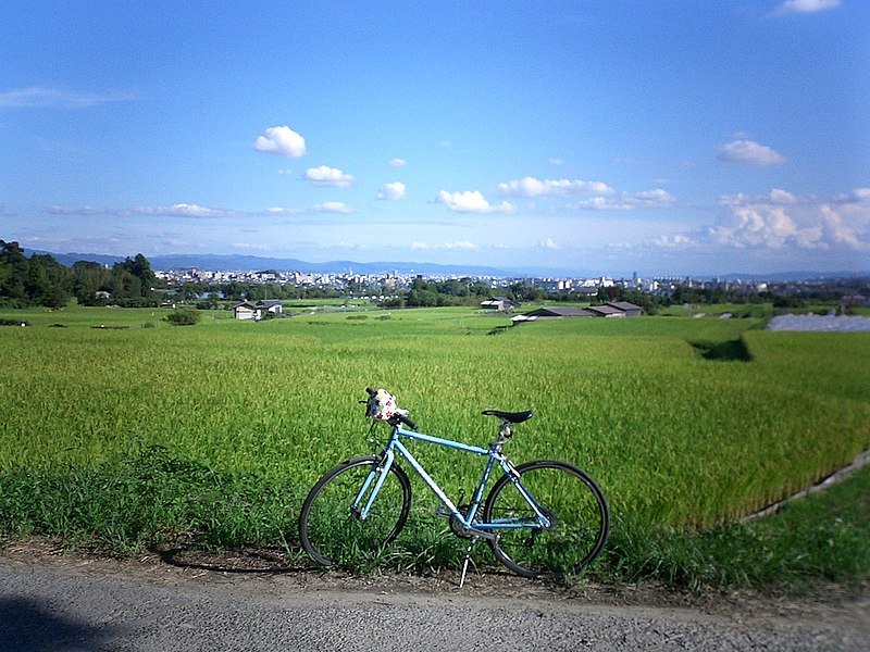 File:嵯峨野 - panoramio.jpg