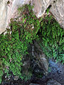 Català: Font de Sant Miquel del Fai, camí de l'Ermita