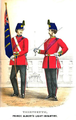 Soldat i oficial britànics (1866) amb xacó baix