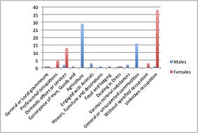 A chart showing the 1881 occupational structure of males and females 1881 occupational structure.jpg