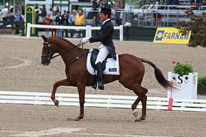 Rider and horse during the Dressage test 2007-04-27 15-17-13-02.jpg