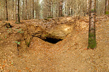 Un buco sotto la roccia nella foresta in inverno.