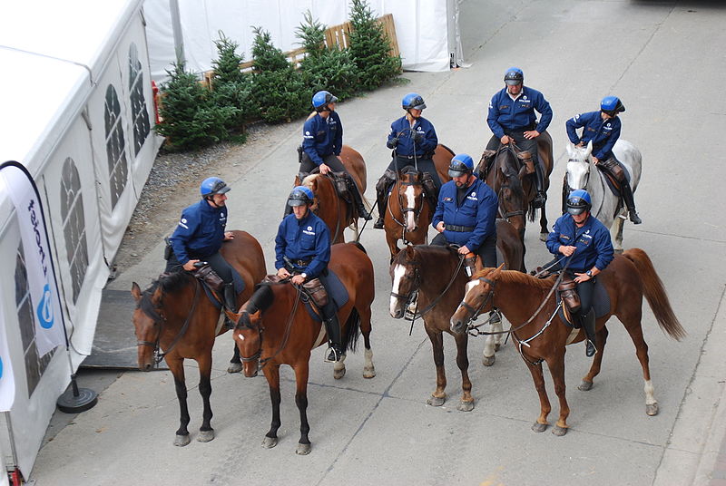 Belgian mounted police.