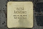 2019-11-24 120259 Burgwedel Stolperstein Olesâ Âkovenko.jpg