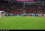 2022 FIFA World Cup United States 1–1 Wales - (40).jpg