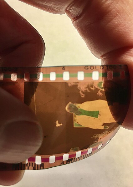 File:35 mm Kodak film negative held between fingers.jpeg