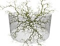 3D diffusion-limited aggregation