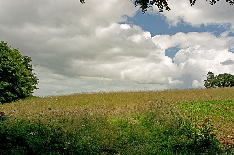 File:A hill a little less than 1 mile north west of Powderham - geograph.org.uk - 5026348.jpg