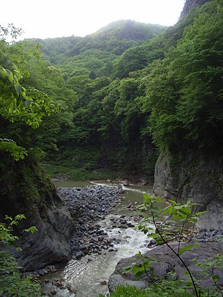 <span class="mw-page-title-main">Agatsuma River</span> River in Japan