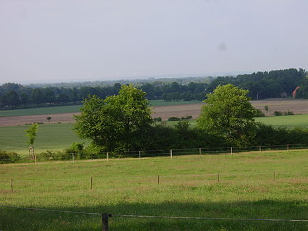 Am Hang des Kälberberges