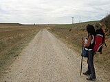 Camino De Santiago