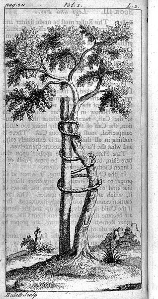File:Andry de Bois Regard, "Orthopaedia...", crooked tree trunk Wellcome L0026364.jpg