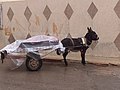 Animal transport - Oujda - Morroco.jpg CC-BY-SA-4.0 self 419KB 960x1280