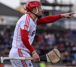 Anthony Nash (hurler) Cork hurler