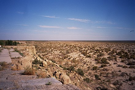 Desert many. Аральское море Аралкум. Пустыня Аралкум. Аральское море пустыня. Аральская пустыня (Аралкум).