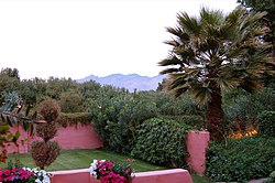 Arizona Inn garden.jpg