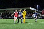 Thumbnail for 2018–19 FA Women's League Cup